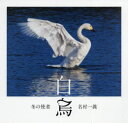 【3980円以上送料無料】冬の使者白鳥/名村一義/著