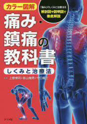 カラー図解 ナツメ社 疼痛 263P　21cm イタミ　チンツウ　ノ　キヨウカシヨ　シクミ　ト　チリヨウホウ　カラ−　ズカイ ウエノ，ヒロシ　カゲヤマ，イクオ　モリグチ，リユウゾウ
