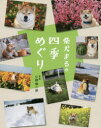 【3980円以上送料無料】柴犬まるの四季めぐり/小野慎二郎/写真