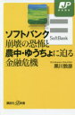 【3980円以上送料無料】ソフトバンク崩壊の恐怖と農中・ゆうちょに迫る金融危機/黒川敦彦/〔著〕