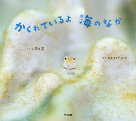 【3980円以上送料無料】かくれているよ海のなか／高久至／しゃしん　かんちくたかこ／ぶん