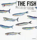 河出書房新社 魚 95P　25cm ザ　フイツシユ　FISH　サカナ　ト　デアウ　ズカン ナガシマ，ユウセイ