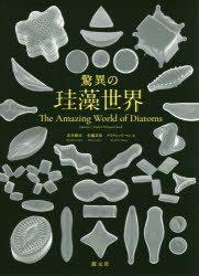 【送料無料】驚異の珪藻世界/出井雅彦/著 佐藤晋也/著 デイヴィッド・マン/著