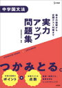 【3980円以上送料無料】実力アップ問題集中学国文法/新国語研究会/編著