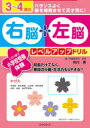 【3980円以上送料無料】3~4歳の右脳+左脳レベルアップドリル この1冊で小学校受験体験!/市川希/著