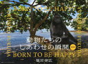 【3980円以上送料無料】動物たちのしあわせの瞬間（とき） BORN TO BE HAPPY／福田幸広／写真 文