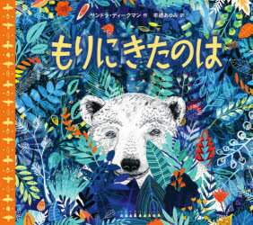 【3980円以上送料無料】もりにきたのは／サンドラ・ディークマン／作　牟禮あゆみ／訳