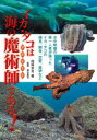 【3980円以上送料無料】イカ・タコは海の魔術師(マジシャン)である! 水中映像の第一人者が撮ったイカ・タコの捕食、闘争、恋愛、産卵など/尾崎幸司/著 奥谷喬司/監修