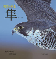 メイツユニバーサルコンテンツ ハヤブサ／写真集 119P　20×20cm テンクウ　ノ　センシ　ハヤブサ マキ，ヒロゾウ