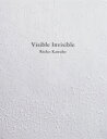 【送料無料】Visible Invisible/川邊りえこ/著