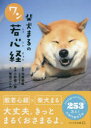 【3980円以上送料無料】柴犬まるのワン若心経／菅原こころ／文 加藤朝胤／監修 小野慎二郎／写真