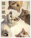 【3980円以上送料無料】猫の絶景／みかんとじろうさん家／著