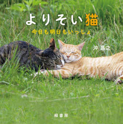 【3980円以上送料無料】よりそい猫　今日も明日もいっしょ／沖昌之／写真　野口久美子／文