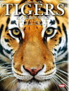 【送料無料】TIGERS 最大・最強の“野生猫” 世界のトラ写真集/ポーラ・ハモンド/著 小宮輝之/監修 吉田伊知郎/訳
