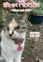 【3980円以上送料無料】見えなくても大丈夫 Blind catめめ/田中優子/著