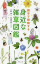 【3980円以上送料無料】親子で観察する身近な雑草図鑑/天野誠/著 岩槻秀明/著・写真