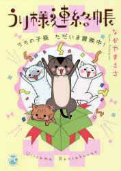Shogakukan Judy C - 【3980円以上送料無料】うり様連絡帳　うちの子猫ただいま冒険中！／なかやま　さち　著