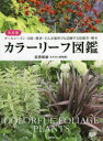 【3980円以上送料無料】カラーリーフ図鑑 決定版 オールシーズン・日陰・酷暑・どんな場所でも活躍する宿根草・樹木/荻原範雄/著