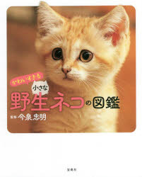 宝島社 猫科 111P　19cm カワイスギル　チイサナ　ヤセイネコ　ノ　ズカン イマイズミ，タダアキ