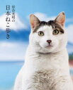 【3980円以上送料無料】岩合光昭の日本ねこ歩き 岩合光昭の世界ネコ歩き/岩合光昭/著