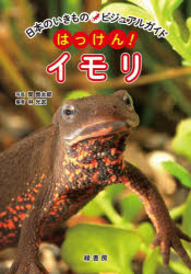 【3980円以上送料無料】はっけん！カナヘビ／関慎太郎／写真　竹中践／編著