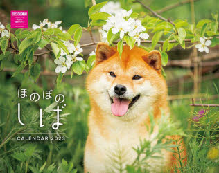 【3980円以上送料無料】’23　ほのぼのしばカレンダー／