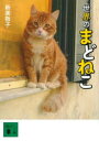 【3980円以上送料無料】世界のまどねこ/新美敬子/〔著〕