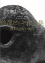 【3980円以上送料無料】終わりのない迷宮 砂澤ビッキ作品集/砂澤ビッキ/〔作〕 酒井広司/写真 渥美顯二/写真 北海道立近代美術館/編