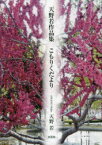 【3980円以上送料無料】こもりくだより　天野若作品集／天野若／著