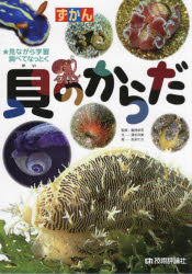 【3980円以上送料無料】ずかん貝のからだ　見ながら学習調べてなっとく／清水洋美／文　倉持卓司／監修　友永たろ／絵