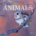【3980円以上送料無料】愛しい北のANIMALS 優しい時間/結び/写真・文イラスト