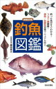 【3980円以上送料無料】釣魚図鑑/豊田直之/著