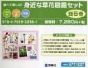 【送料無料】調べて楽しむ!身近な草花図鑑セット 既5/
