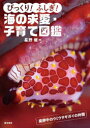 【3980円以上送料無料】びっくり!ふしぎ!海の求愛・子育て図鑑/星野修/著