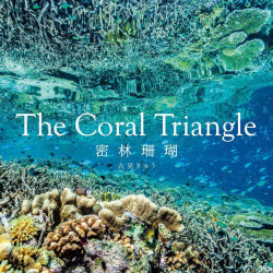 クレヴィス 海洋動物／写真集　珊瑚礁／写真集 180P　24×24cm ザ　コ−ラル　トライアングル　CORAL　TRIANGLE　ミツリン　サンゴ フルミ，キユウ