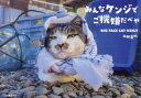 【3980円以上送料無料】みんなケンジでご機嫌だべや BIG FACE CAT KENJI/土肥美帆/著