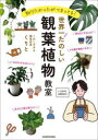 【3980円以上送料無料】世界一たのしい観葉植物教室 知りたかったがつまってる!/くりと/著
