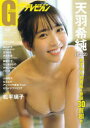 【3980円以上送料無料】グラビアザテレビジョン vol.68/