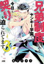 カチCOMI 秋田書店 1冊（ページ付なし）　19cm キヨウダイ　セイド　ノ　アル　ヤンキ−　ガクエン　デ　キヨウ　モ　チギリ　オ　セマラレテマス　3　3　カチコミ　カチCOMI アカイ　シラフ