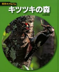 【3980円以上送料無料】キツツキの森　新装版／右高英臣／著