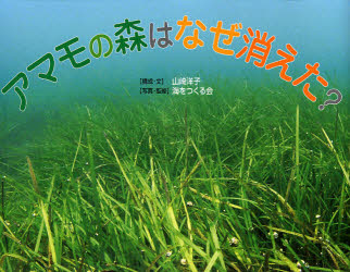 【3980円以上送料無料】アマモの森はなぜ消えた？／山崎洋子／構成・文　海をつくる会／写真・監修