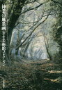 【3980円以上送料無料】神業の風景画 ホキ美術館コレクション/芸術新聞社/編