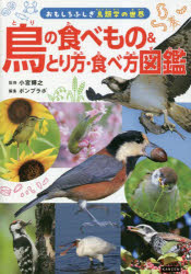 【3980円以上送料無料】鳥の食べもの＆とり方・食べ方図鑑／小宮輝之／監修 ポンプラボ／編集