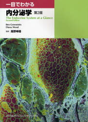 【3980円以上送料無料】一目でわかる内分泌学／ベン・グリーンスタイン／著　ディアナ　F．ウッド／著　高野幸路／監訳　石川敏夫／訳　西森茂樹／訳　高野順子／訳