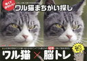 【3980円以上送料無料】ワル猫まちがい探し 怖くてかわいい ワル猫たちの50問に挑んで脳を活性化しよう!/渡邉修/監修 南幅俊輔/撮影