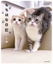 【3980円以上送料無料】もちはな日記／下僕／著