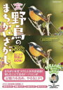 FUSOSHA　MOOK 扶桑社 健脳法　パズル 72P　30cm イチニチ　ニフン　デ　ノウ　ガ　ワカガエル　ヤチヨウ　ノ　マチガイサガシ　1ニチ／2フン／デ／ノウ／ガ／ワカガエル／ヤチヨウ／ノ／マチガイサガシ　フソウシヤ　ムツク　FUSOSHA　MOOK タキ，ヤスユキ