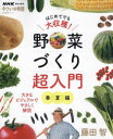 【3980円以上送料無料】はじめてでも大収穫!野菜づくり超入門 春夏編/藤田智/著