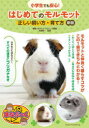 【3980円以上送料無料】小学生でも安心!はじめてのモルモット正しい飼い方・育て方/大庭秀一/監修
