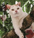 【3980円以上送料無料】ボンド 桃農家のねこ/岩合光昭/著